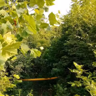 Kraner Park - Columbus, OH