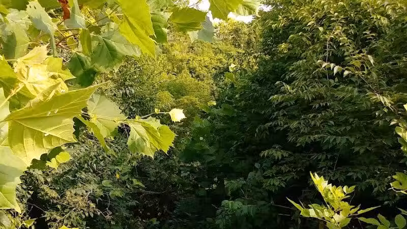 Kraner Park - Columbus, OH