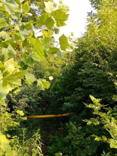 Kraner Park - Columbus, OH