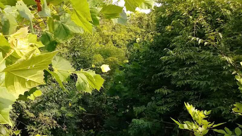 Kraner Park - Columbus, OH