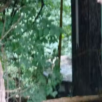 Kraner Park - Columbus, OH