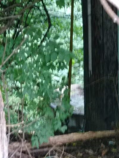 Kraner Park - Columbus, OH