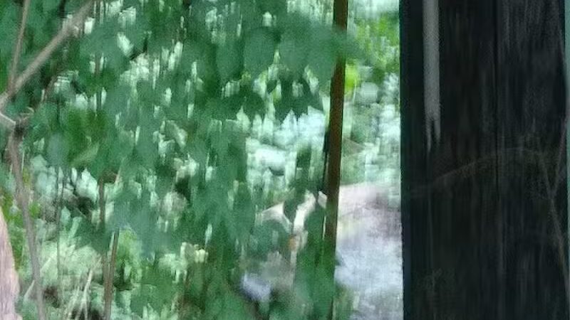 Kraner Park - Columbus, OH