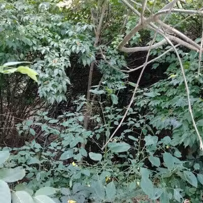 Kraner Park - Columbus, OH