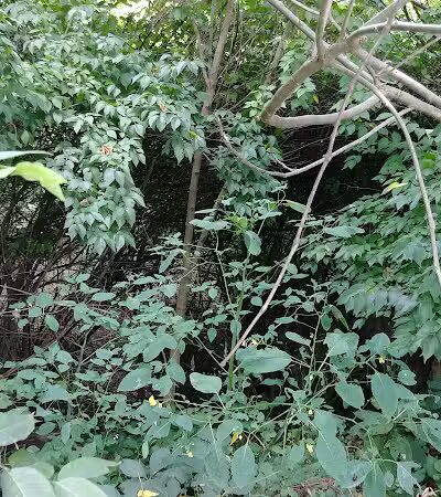 Kraner Park - Columbus, OH