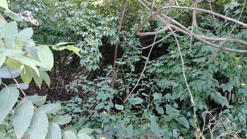 Kraner Park - Columbus, OH