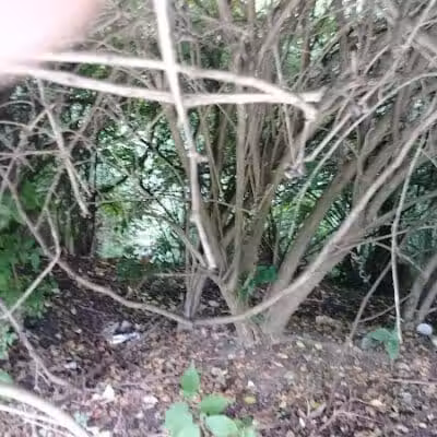 Kraner Park - Columbus, OH