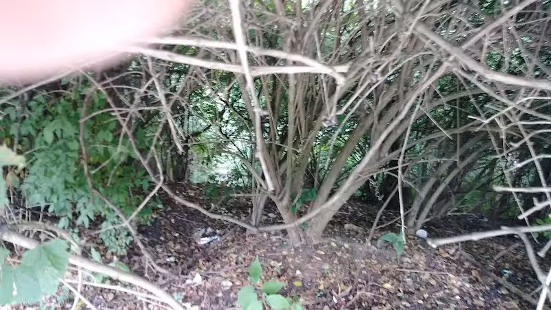 Kraner Park - Columbus, OH