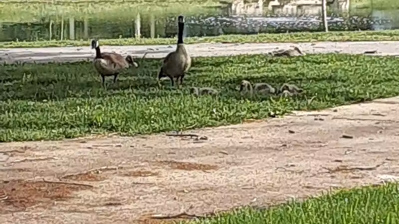 Linden Park - Columbus, OH