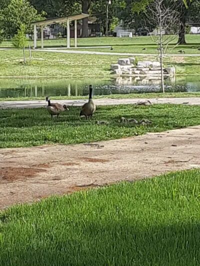 Linden Park - Columbus, OH