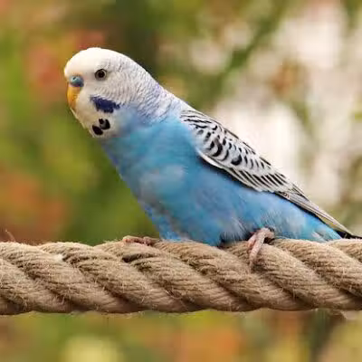 Linden Park - Columbus, OH