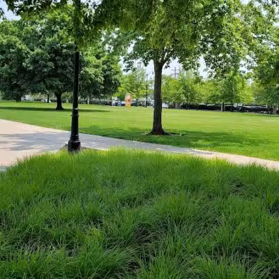 Livingston Park - Columbus, OH