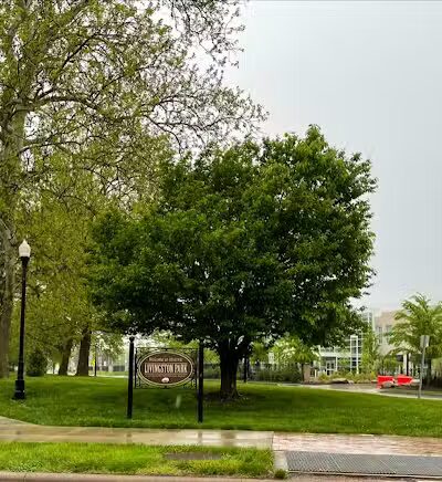 Livingston Park - Columbus, OH