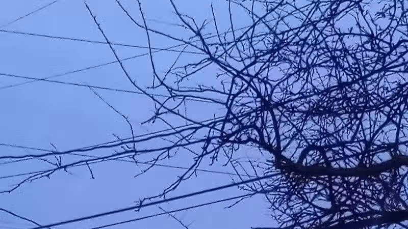 Maloney Park - Columbus, OH