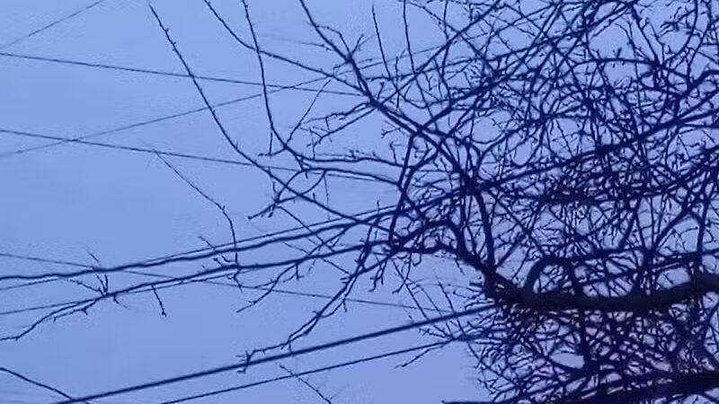 Maloney Park - Columbus, OH