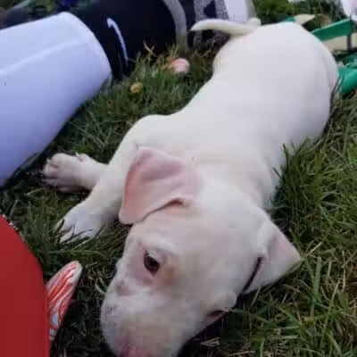 Maybury School Park - Columbus, OH