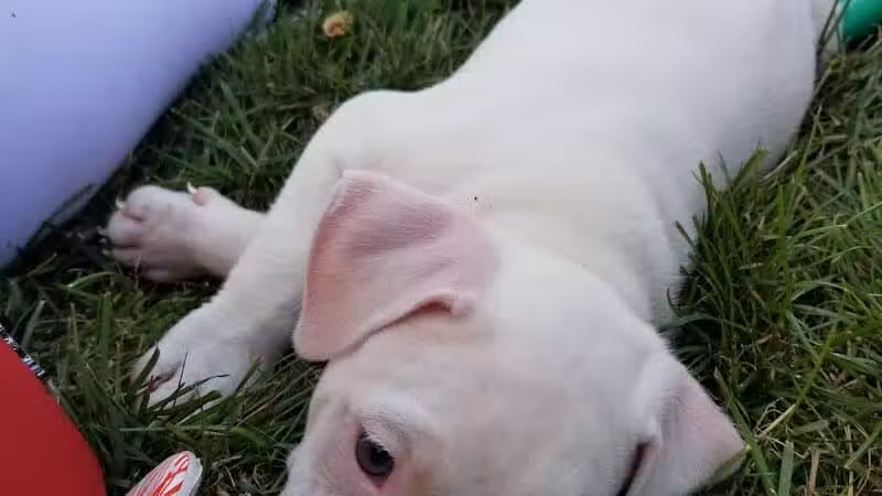 Maybury School Park - Columbus, OH