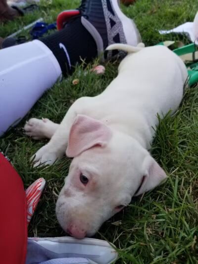 Maybury School Park - Columbus, OH