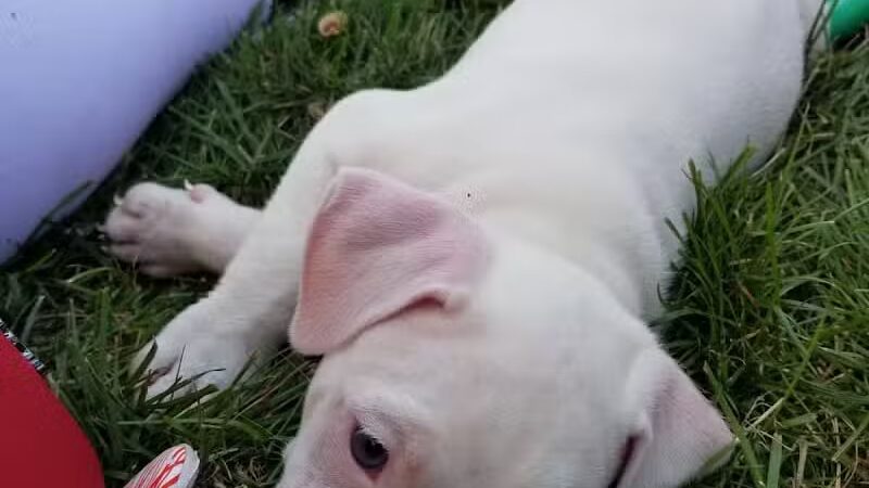 Maybury School Park - Columbus, OH