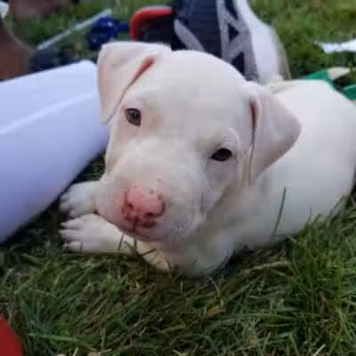 Maybury School Park - Columbus, OH