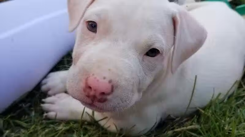 Maybury School Park - Columbus, OH