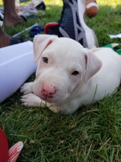 Maybury School Park - Columbus, OH