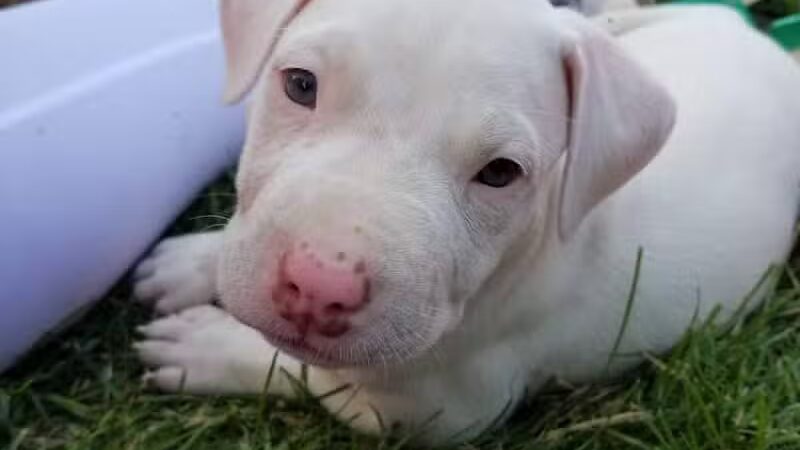 Maybury School Park - Columbus, OH