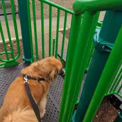 Maynard and Summit Park - Columbus, OH