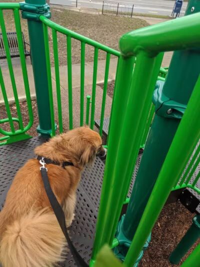 Maynard and Summit Park - Columbus, OH