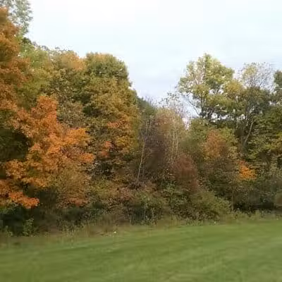 Mock Park - Columbus, OH