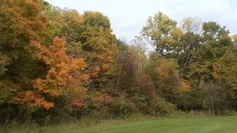 Mock Park - Columbus, OH