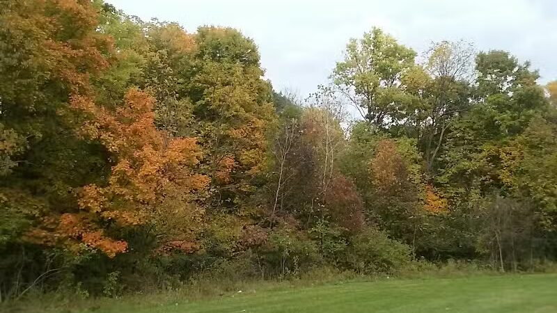 Mock Park - Columbus, OH