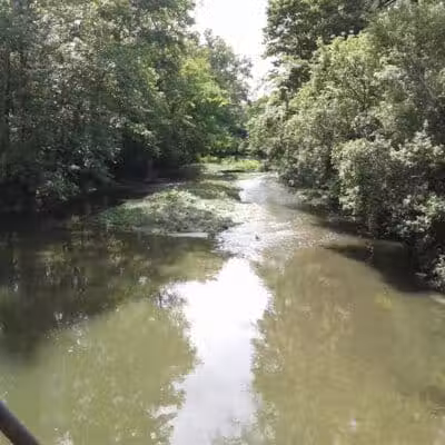 Mock Park - Columbus, OH