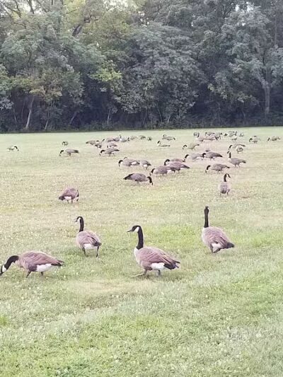 Nafzger Park - Columbus, OH