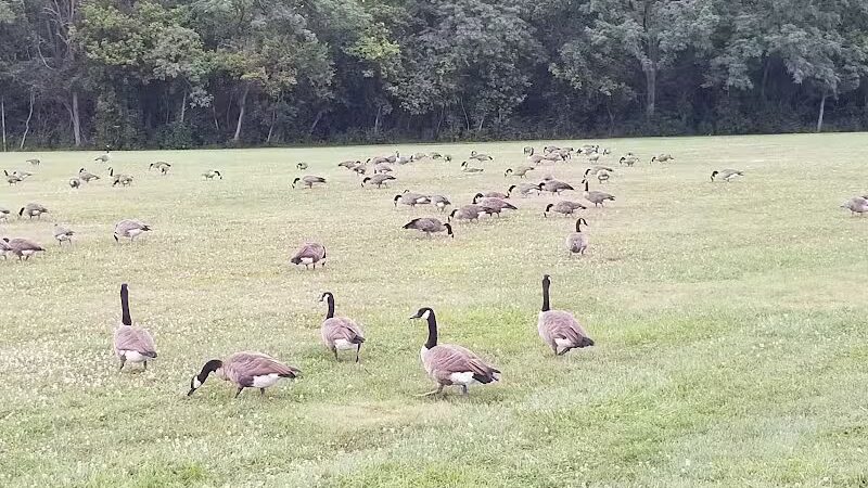 Nafzger Park - Columbus, OH