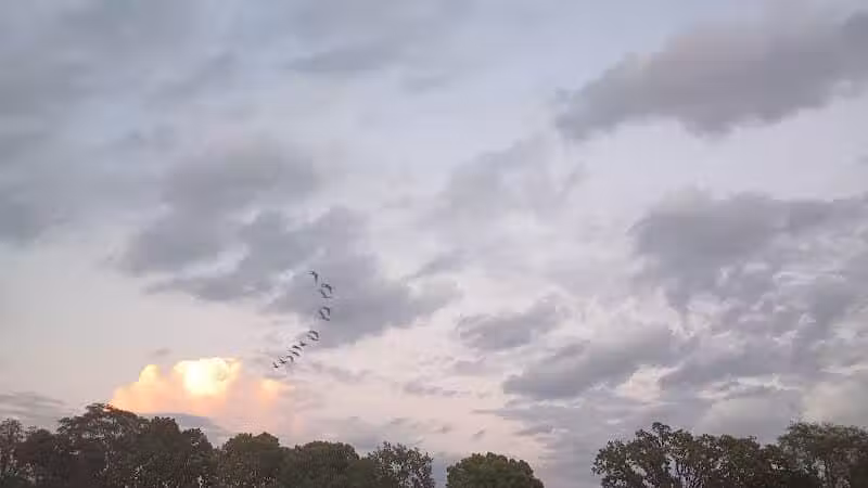 Nafzger Park - Columbus, OH