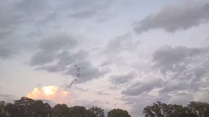 Nafzger Park - Columbus, OH