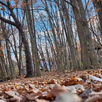 Northern Woods Park - Columbus, OH
