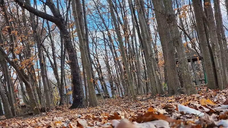 Northern Woods Park - Columbus, OH