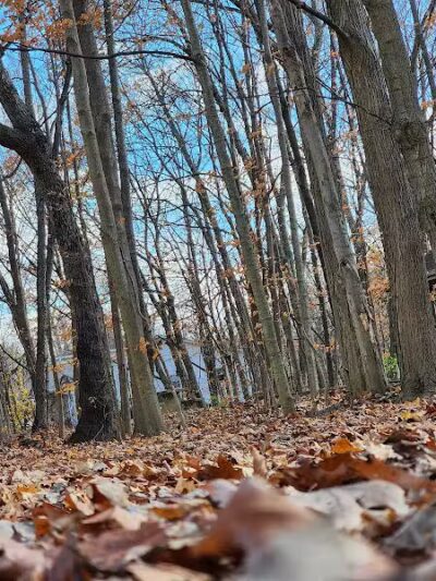 Northern Woods Park - Columbus, OH
