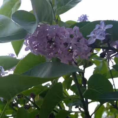 Northgate Park - Columbus, OH