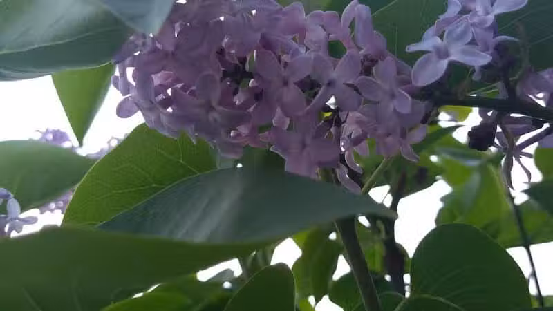 Northgate Park - Columbus, OH