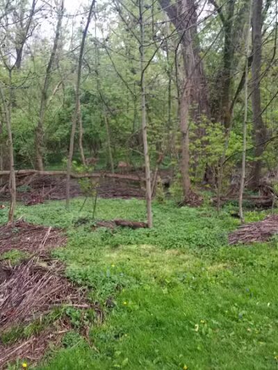 Northmoor Park - Columbus, OH