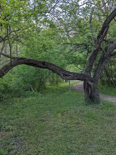 Northmoor Park - Columbus, OH