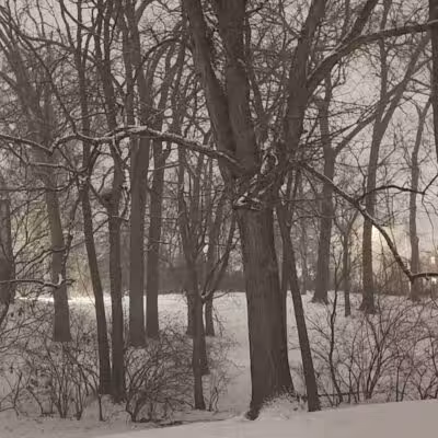 Olentangy Commons Large Dog Park - Columbus, OH