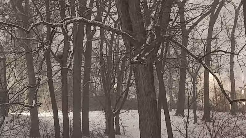 Olentangy Commons Large Dog Park - Columbus, OH