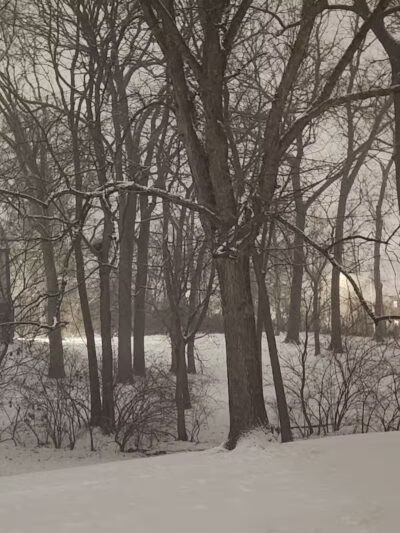 Olentangy Commons Large Dog Park - Columbus, OH