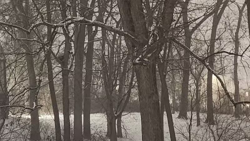 Olentangy Commons Large Dog Park - Columbus, OH