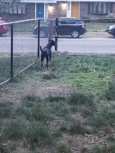 Olentangy Commons Small Dog Park - Columbus, OH