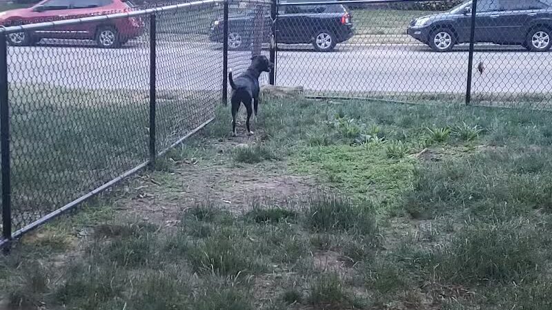 Olentangy Commons Small Dog Park - Columbus, OH